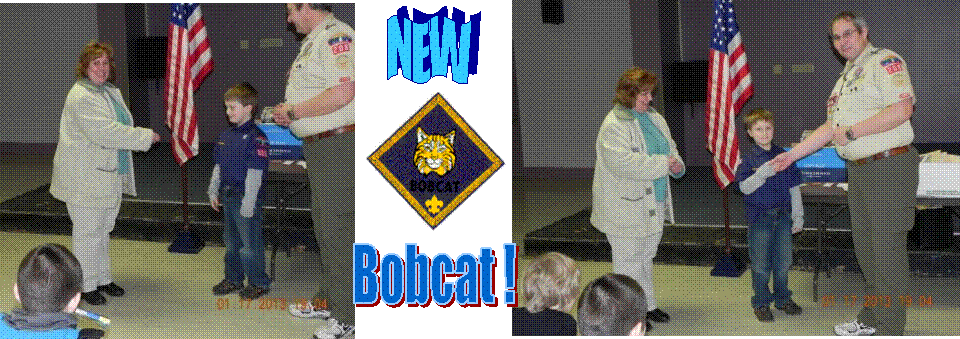 NEW,Bobcat !