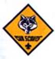 cubscouts