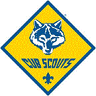 CubScout_Spot