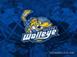 walleye