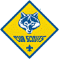 CubScout_Spot